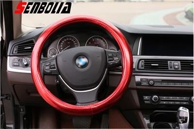 Coprivolante abbagliante per auto